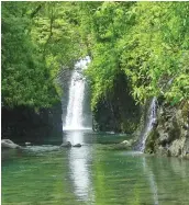  ??  ?? Lavena waterfalls in Taveuni.