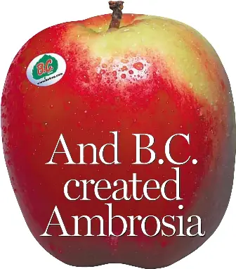 And B C Created Ambrosia Pressreader