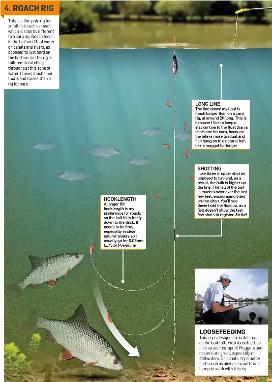 4. ROACH RIG PressReader