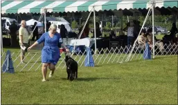  ?? LAUREN HALLIGAN-MEDIANEWS GROUP ?? An all-breed dog show is held at the Saratoga County Fairground­s in Ballston Spa.