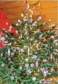  ?? Fotos: Erich Herrmann ?? So sah der Christbaum von Familie Kutschker aus Riedheim im vergangene­n Jahr aus.