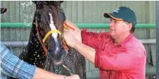  ?? Photo: Chris Ison ?? TRAGIC DEATH: Basil Nolan Jnr died on Melbourne Cup Day after becoming trapped in farming machinery.