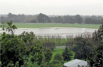  ?? PHOTO: CAROLE MANSFIELD ?? New Zealand desperatel­y needs a synthetic track to stop more thoroughbr­ed meetings being lost to water logged tracks.