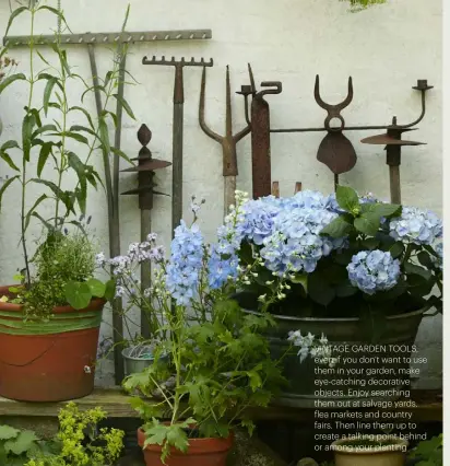  ??  ?? VINTAGE GARDEN TOOLS, EVEN IF YOU DON’T WANT TO USE THEM IN YOUR GARDEN, MAKE EYE-CATCHING DECORATIVE OBJECTS. ENJOY SEARCHING THEM OUT AT SALVAGE YARDS, FLEA MARKETS AND COUNTRY FAIRS. THEN LINE THEM UP TO CREATE A TALKING POINT BEHIND OR AMONG YOUR PLANTING