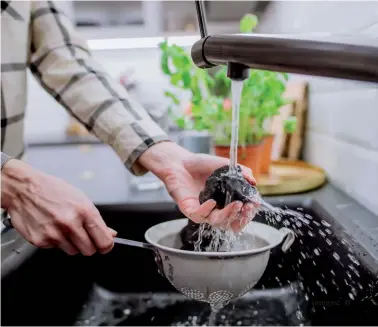 Shungita negra careliana áspera, minerales crudos, piedra de agua,  especímenes de cristal natural de Rusia, 10 unidades