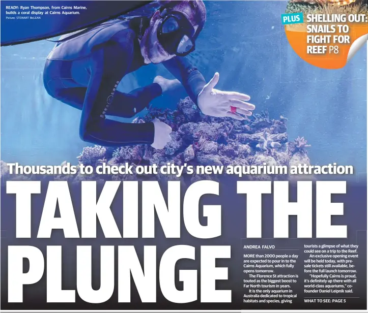  ?? Picture: STEWART McLEAN ?? READY: Ryan Thompson, from Cairns Marine, builds a coral display at Cairns Aquarium.