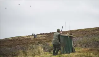  ??  ?? With the grouse season in full swing, the hard graft during the spring and summer is paying off