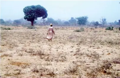  ?? PHOTO: CHIDIMMA C. OKEKE ?? Abdullahi Usman of Gatsika in Makoda walking round the farm to check for any survived plant at the site.