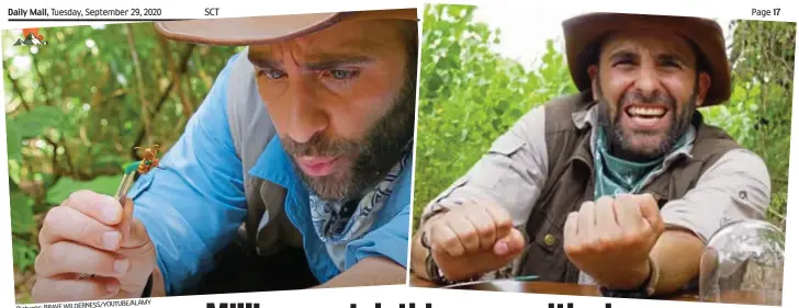  ??  ?? Beastly: Coyote Peterson being stung by an executione­r wasp, far left, and an Eastern cicada killer. Inset, a bullet ant WILDERNESS/YOUTUBE/ALAMY Pictures: BRAVE