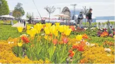  ?? FOTO: BARBARA BAUR ?? Tulpen bringen im Frühling viel Farbe ans Überlinger Ufer.