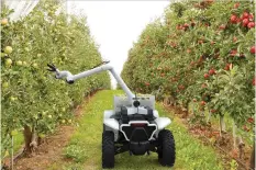  ??  ?? Honda’s new Autonomous Work Vehicle could be useful for performing agricultur­al jobs such as harvesting fruit.