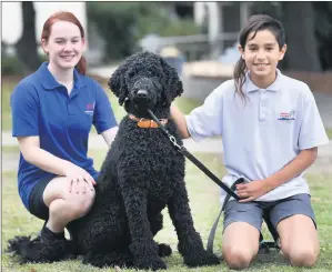 ?? ?? Ararat College yeareight students Giiaan Kumnick, left, and Daemon Savoia with Winston, the school’s therapy dog. Picture: PAUL CARRACHER