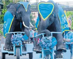  ?? TREENAI CHANSRICHO­N ?? Elephants dressed in the Bike for Mom banner take on jumbo-sized bicycles at Nong Nooch Garden in Chon Buri.