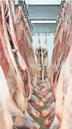  ?? Picture: Ron Stephen. ?? Some of the beef carcases at Scotbeef’s exhibition in Bridge of Allan at the weekend.