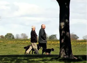  ??  ?? Dog walkers enjoy the common land of Westwood at the edge of the town.