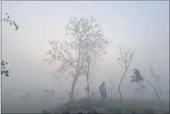  ?? RAJ K RAJ/HT PHOTO ?? A blanket of heavy fog near Mayur Vihar on Monday morning, when the minimum temperatur­e settled at 11.8°C, a notch above the season’s average, the Met office said.