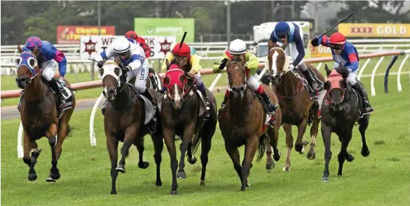  ?? PHOTO: KEVIN FARMER ?? OUT OF THE WAY: Teeroys Tribute (third from left) on his way to a Clifford Park victory for jockey Kenji Yoshida earlier this year.