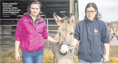  ?? KEVIN SCOTT / BELFAST TELEGRAPH ?? Donkey vet Deirdre Totten (left) and donkey welfare adviser Jane Bruce with rescued donkey Faith