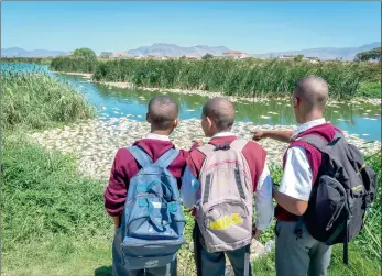  ??  ?? NOT FOR THE PAN: Schoolchil­dren look at some of the thousands of dead carp popping up near the confluence of the Lotus River and Zeekoevlei yesterday.