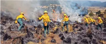  ?? ?? brigadas Trabajan día y noche para combatir los incendios