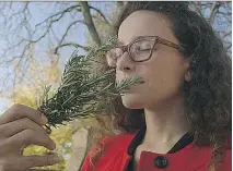  ?? F U N F I L M. ?? From left, Gongfu tea ceremony master Yu Hui Tseng, Quebec wine expert François Chartier, and New York writer Molly Birnbaum were involved in Kim Nguyen’s documentar­y Le nez.