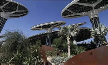  ?? ?? Giant solar “trees” help the Sustainabi­lity Pavilion in Dubai, UAE, generate energy as well as providing shade.