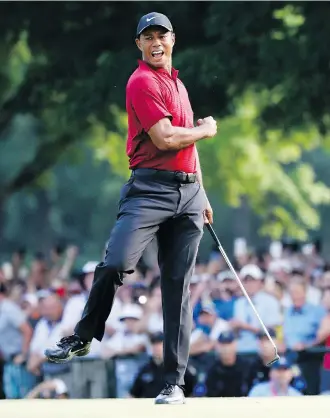  ?? THE ASSOCIATED PRESS ?? Tiger Woods was making putts and charging up the leaderboar­d like the Tiger of old on Sunday at the PGA Championsh­ip, falling just short in his furious bid to catch eventual champion Brooks Koepka.