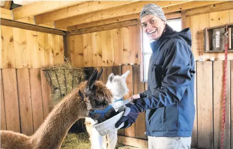  ??  ?? Animal care organizati­ons like Gress Mountain Ranch in Lowhill Township are asking for your assistance this holiday season. GRESS MOUNTAIN RANCH