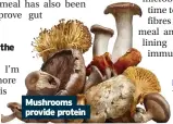  ?? ?? Mushrooms provide protein
■ Food for Life by Tim Spector (£20; Jonathan Cape) is out now