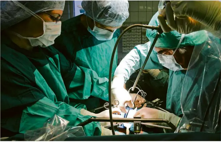  ?? Foto: Jan-peter Kasper/dpa ?? In einer Klinik wird einem Spender eine Niere entnommen. Noch immer entscheide­n sich zu wenige Menschen zu einer Organspend­e.