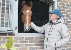  ?? ?? Shane Breen with Z7 Ipswich, 5 Grand Prix winner, at home at Hickstead