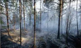  ?? RONI LEHTI — LEHTIKUVA VIA AP ?? Smoke rises after a wildfire swept through the large forest area in Pyh’ranta, Finland, Wednesday. About twenty residentia­l buildings have been evacuated.