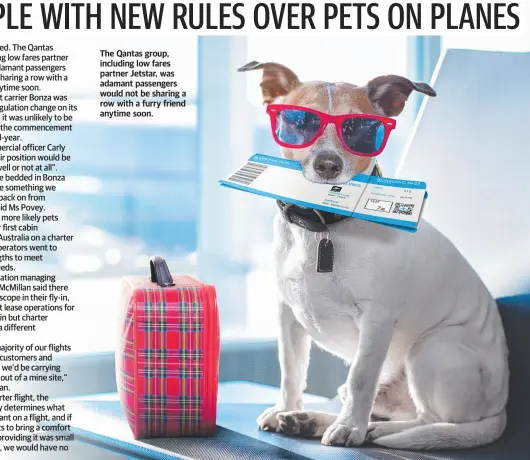  ?? ?? The Qantas group, including low fares partner Jetstar, was adamant passengers would not be sharing a row with a furry friend anytime soon.