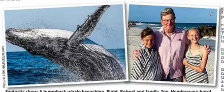  ?? ?? Fantastic show: A humpback whale breaching. Right, Robert and family. Top, Hemingways hotel