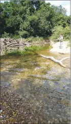  ??  ?? Tonkinson fly fishes near a log jam on Big Sugar Creek.