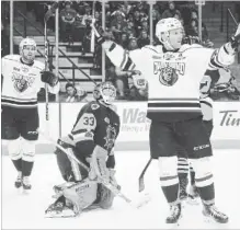  ?? JOHN RENNISON THE HAMILTON SPECTATOR ?? Owen Sound’s Jonah Gadjovich celebrates his second-period goal against Bulldogs goalie Kaden Fulcher in the second period of their victory over Hamilton.