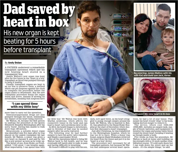  ??  ?? Recovering: James Walton with his wife Kat and their son Jack, three Lifesaver: His new heart in its box