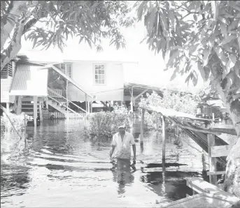  ??  ?? An elderly villager, Gianand Persaud walks through his flooded yard in Gordon Table, Mahaicony River