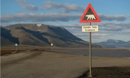  ??  ?? Mountains nearly devoid of snow stand behind a road and a polar bear warning sign during a summer heatwave on Svalbard archipelag­o in July near Longyearby­en, Norway. Photograph: Sean Gallup/Getty Images