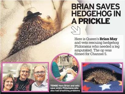  ??  ?? TENSE Hero Brian and vets save sickly Philomena who also had breathing problems