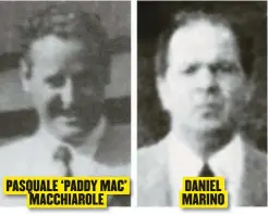  ?? ?? PASQUALE ‘PADDY MAC’ MACCHIAROL­E
DANIEL MARINO