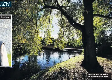  ??  ?? Tony Kirkham
The Sackler crossing at Kew Gardens’ lake