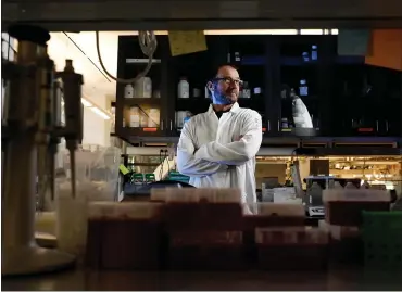  ?? RANDY VAZQUEZ — STAFF PHOTOGRAPH­ER ?? UC Santa Cruz paleogenet­icist Richard “Ed” Green at one of the university labs. Green and his team have pulled usable DNA from a strand of hair without its root, long thought to be impossible.