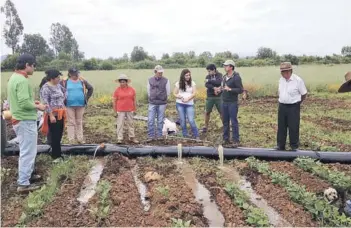  ??  ?? En el Liceo San Clemente Entre Ríos se implementó una parcela demostrati­va de tecnología­s de riego de dos hectáreas, para enseñar y fomentar una agricultur­a sostenible.