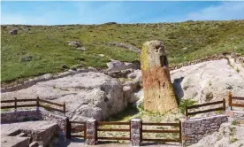  ??  ?? A fossilised tree trunk in the petrified forest of Lesbos. Photograph: Nikolas Zouros