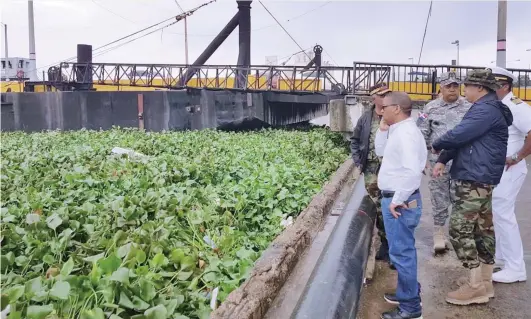  ?? FUENTE EXTERNA ?? Personal de los ministerio­s de Obras Públicas y de Defensa supervisan los cúmulos de lilas en el río Ozama.