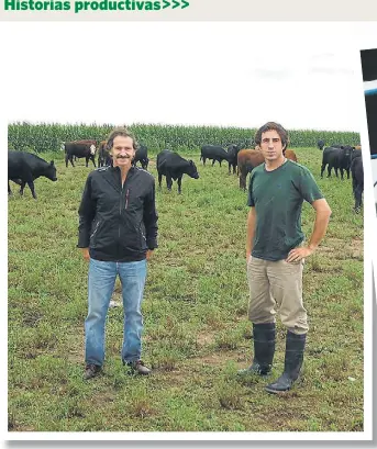  ??  ?? Los Llorente. Los Bernardo, padre e hijo, en un lote ganadero bajo pastoreo. Detrás, el maíz.