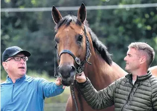  ?? PHOTO: PETER MCINTOSH ?? Checking in . . . Top Australian Horse trainer Mick Price, left, and Jason Coutts with Prince Of Brooklyn at Mosgiel on Monday.