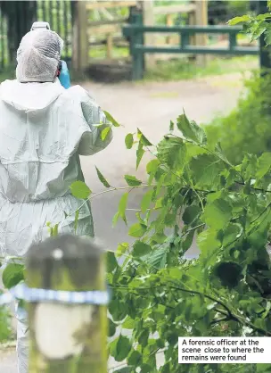  ??  ?? A forensic officer at the scene close to where the remains were found