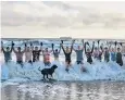  ?? ?? Swimmers brave the North Sea for charity at King Edward’s Bay in North Tyneside